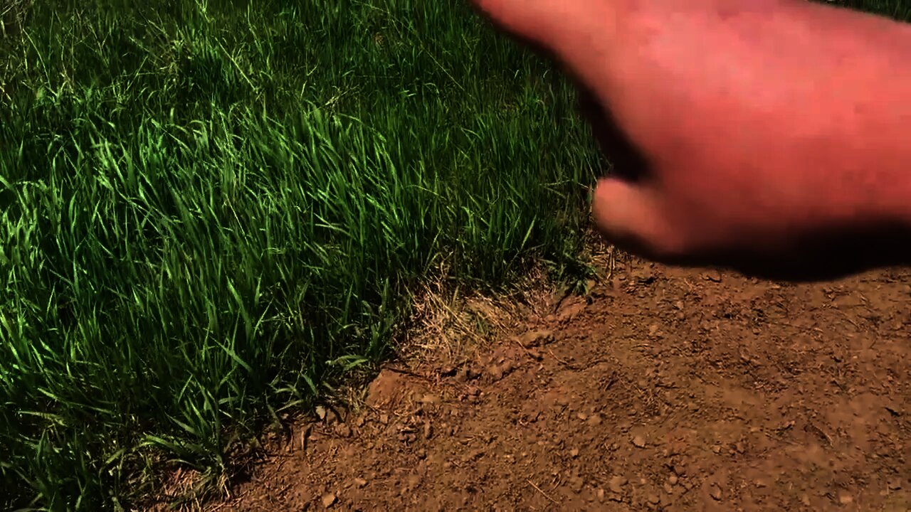 Garden Update Video #1 May 18, 2021