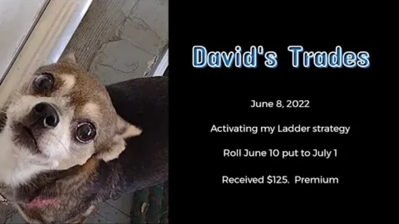 2022 Jun 8 Activating ladder strategy. Premium of $125.00. Roll over June 10 put to July 1