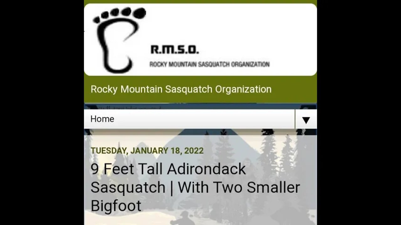 9 Feet Tall Adirondack Sasquatch With 2 Smaller Bigfoot Paranormal News