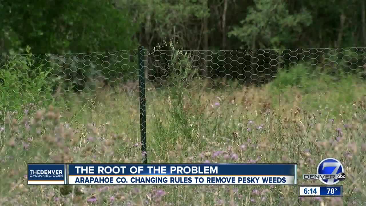 Arapahoe County looking to get to root of weeds problem