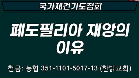 페도필리아 재앙의 이유 (요엘 3:1~8 ) [대한민국 재건기도] 한밝모바일교회