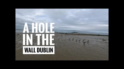 A Hole In The Wall Dublin #4K #GoPro Hero 9