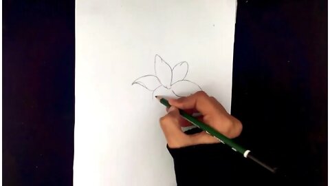 How To Draw Flowers Easy Step