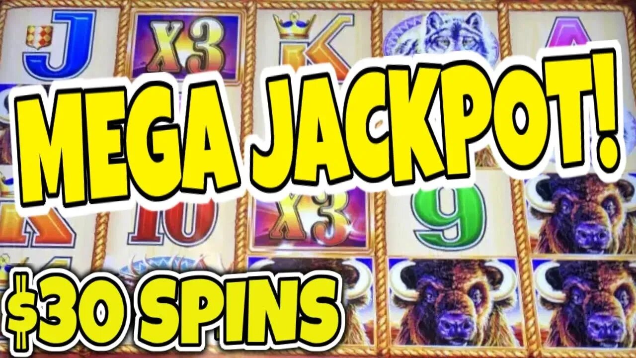 THE KING OF BUFFALO KEEPS WINNING BIG! 🪙 MAX BET BUFFALO GOLD SLOTS
