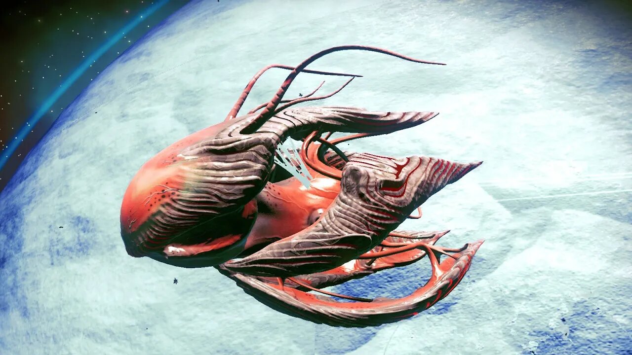 No Man's Sky - Zayevert LV8 - Living Ship Location