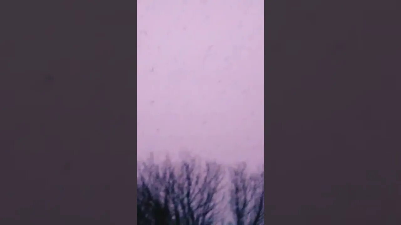 ⚔️🕊️⚔️