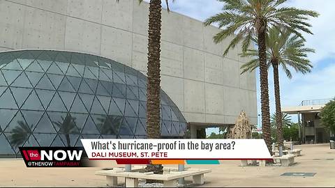 What's hurricane-proof in the bay area?