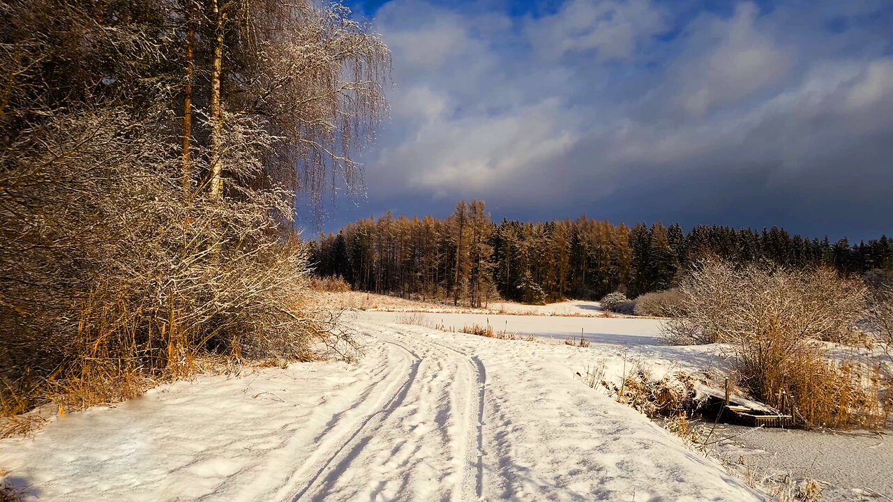 The Castle's Lakes in Winter - Frozen Lake Walk In Winter ASMR Without Music