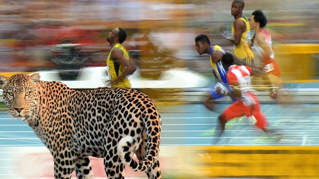 TOP 10 ANIMALS FASTER THAN USAIN BOLT