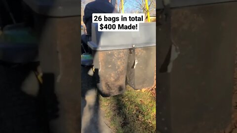 How to make an easy $400 with fall clean ups! |LEAF IT Alone