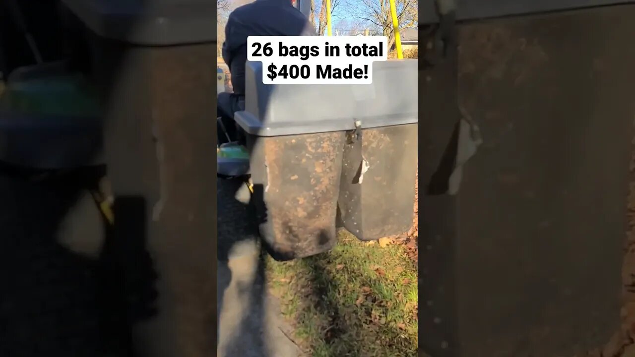 How to make an easy $400 with fall clean ups! |LEAF IT Alone