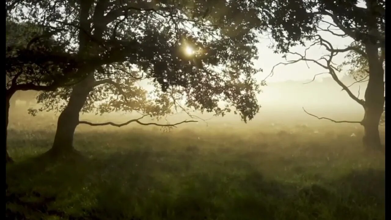 NKJV John 12:27-36 Bible Reading. Jesus Predicts His Death on the Cross
