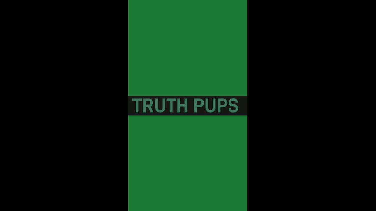 Truth Pups update