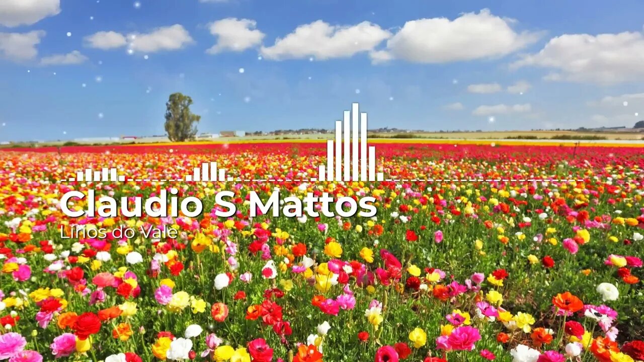 Claudio S Mattos - Lírios Do Vale