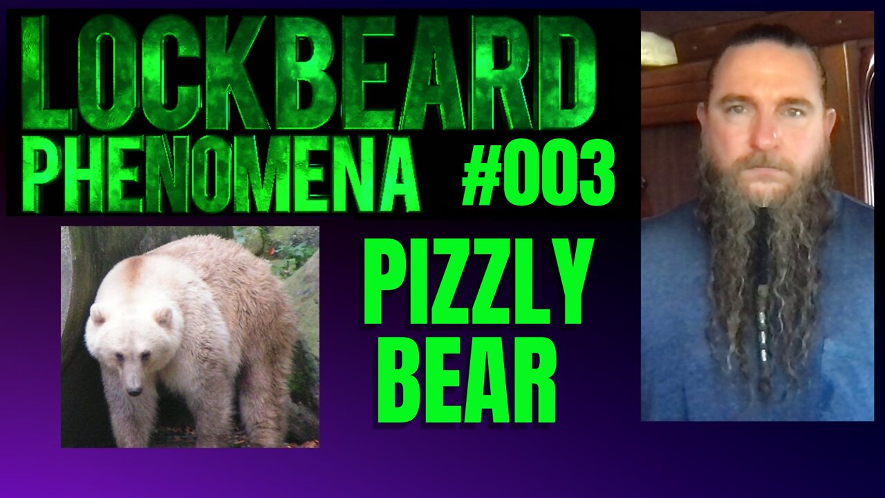 LOCKBEARD PHENOMENA #003. Pizzly Bear