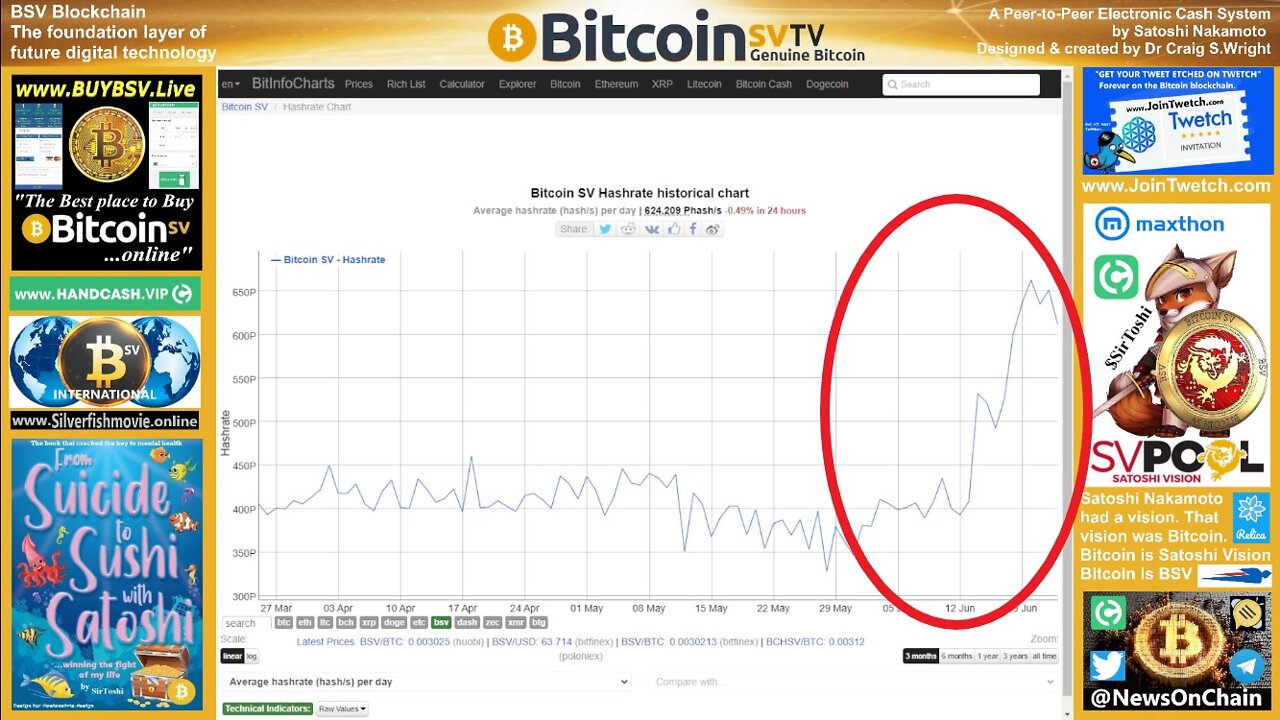 SirToshi's Charts: BSV Hashrate Rising!!!