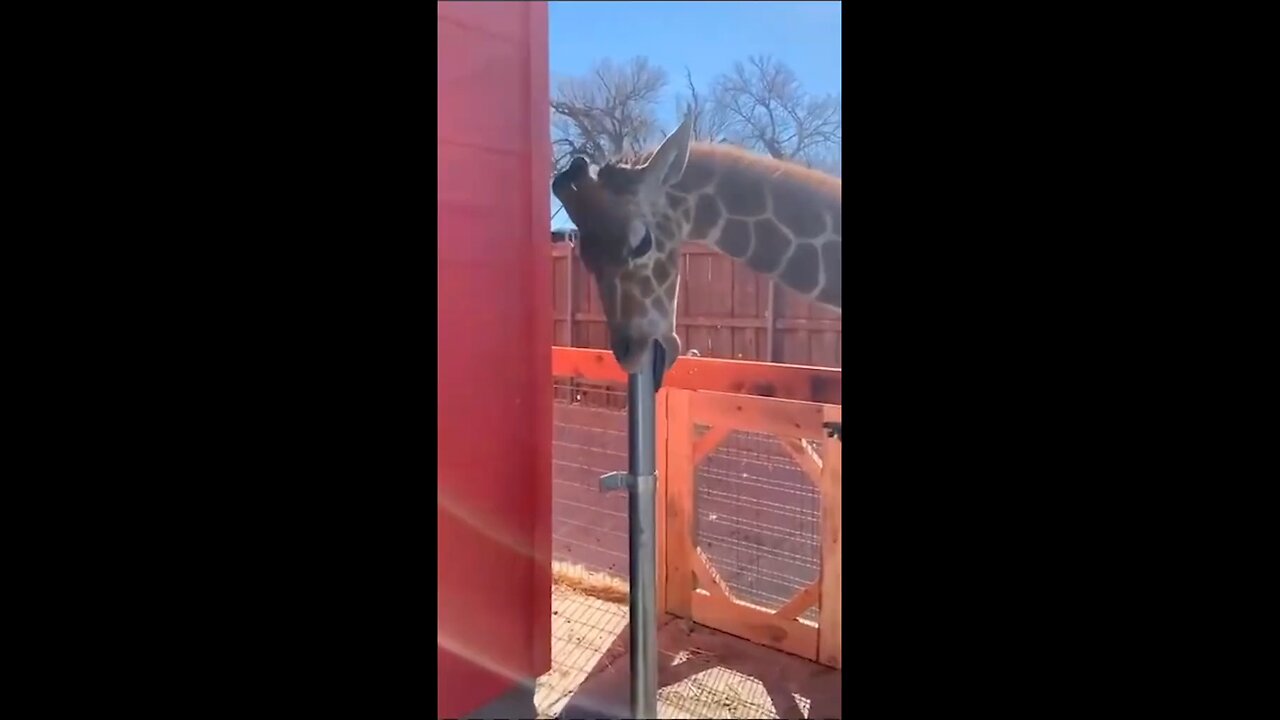 OMG😂