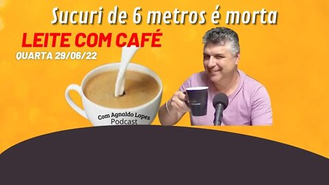 Sucuri de 6 metros é M0RT4 - LEITE COM CAFÉ 29/06/2022