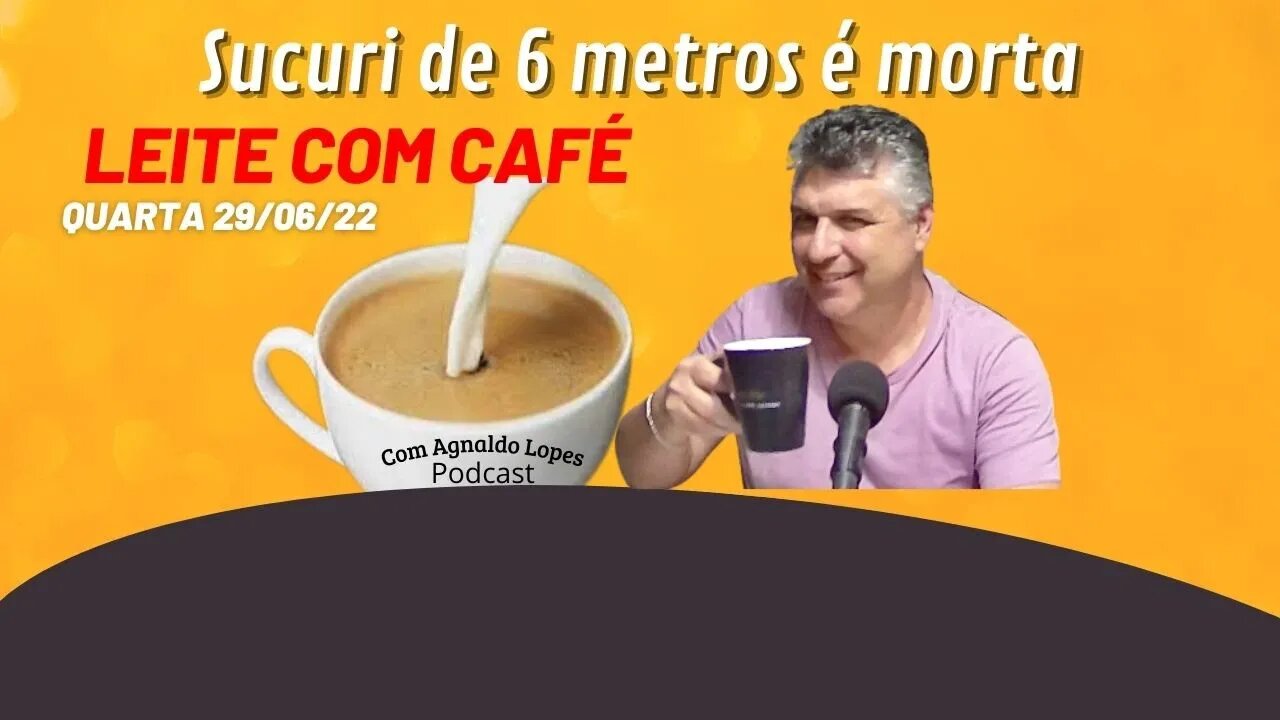 Sucuri de 6 metros é M0RT4 - LEITE COM CAFÉ 29/06/2022