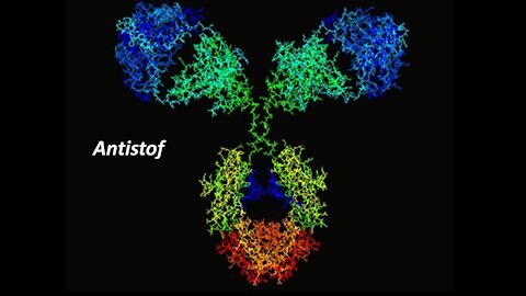 Pierre Capel - Immunologie deel 6 (NL)