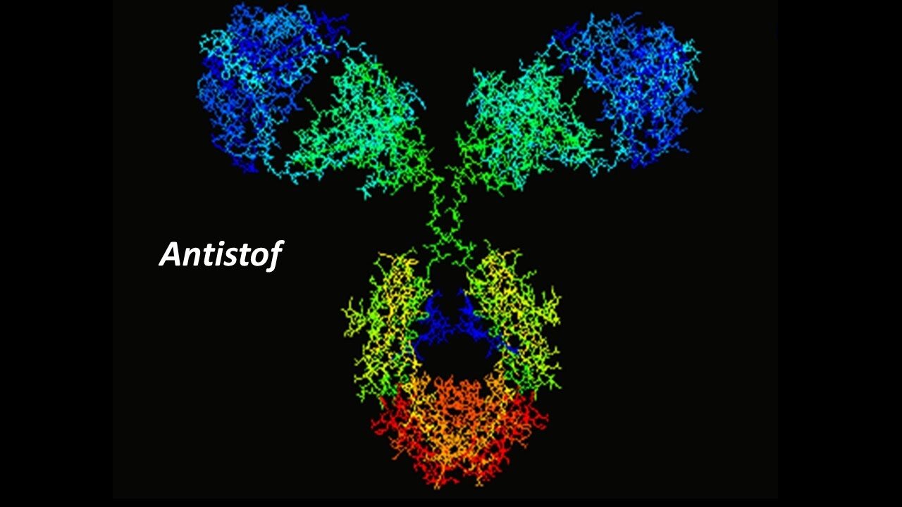 Pierre Capel - Immunologie deel 6 (NL)