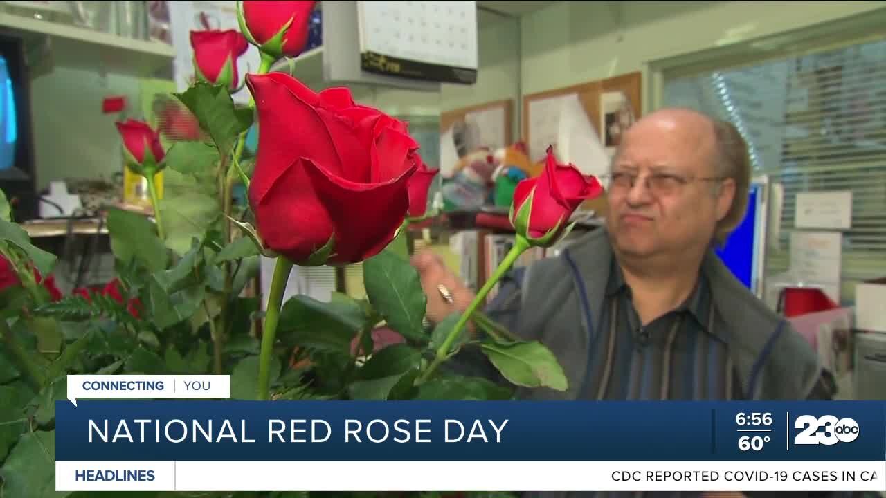 National Red Rose Day