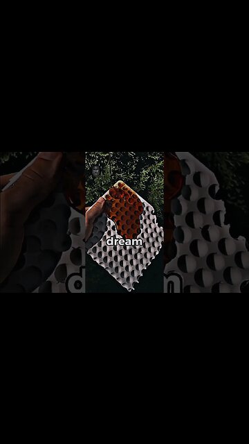 Dont Wast Your Dream #motivation #viralvideo