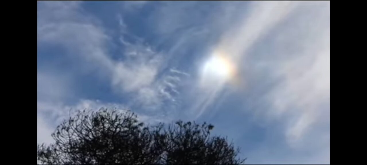 BLUE SKY DAY : IAN BROWN