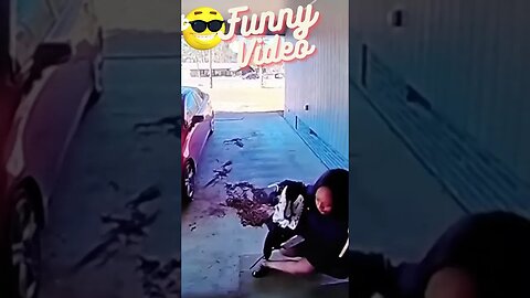 Funny videos #shorts