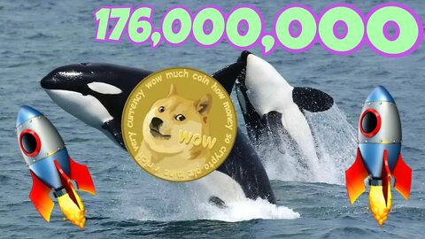 Dogecoin Whales Moving MASSIVE Amounts Ahead of HUGE News ⚠️