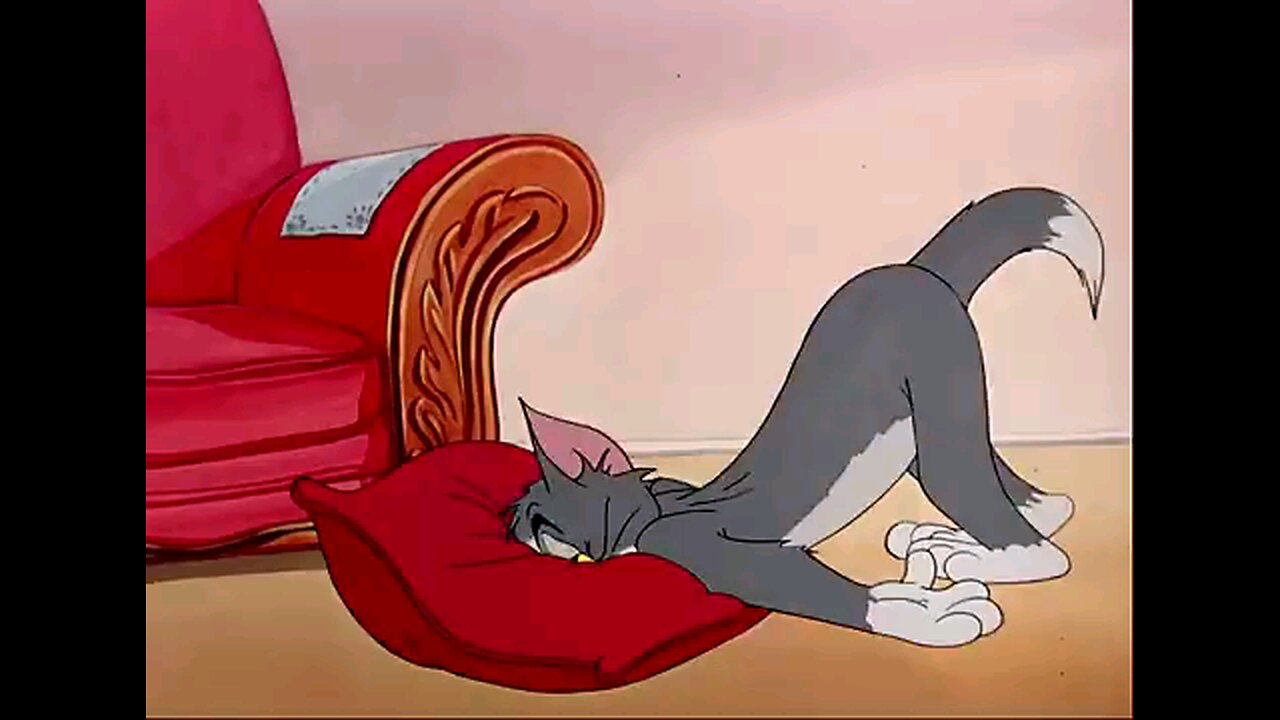 tom & Jerry