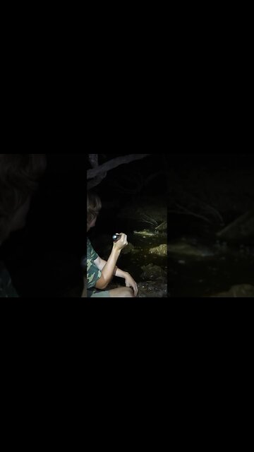 Worlds BIGGEST Crocodile ⁉️ #shorts