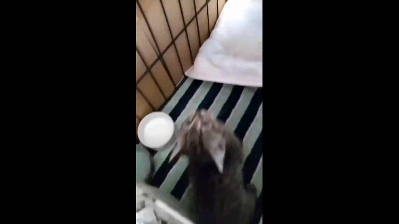☺️😊