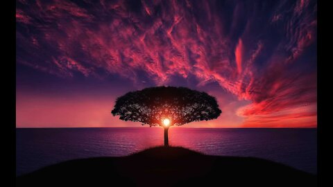 Relaxing Sleep Music • Deep Sleeping Music, Relaxing Music, Stress Relief, Meditation Music (Flying)