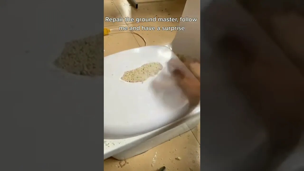 DIY Repair Everything Toilet Lid