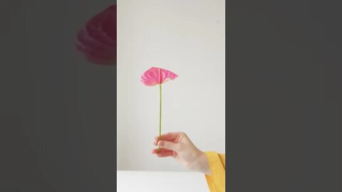 Umbrella Flower