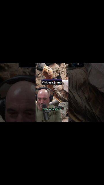 Joe Rogan shocked by facts about tortoise - Forrest Galante #shorts