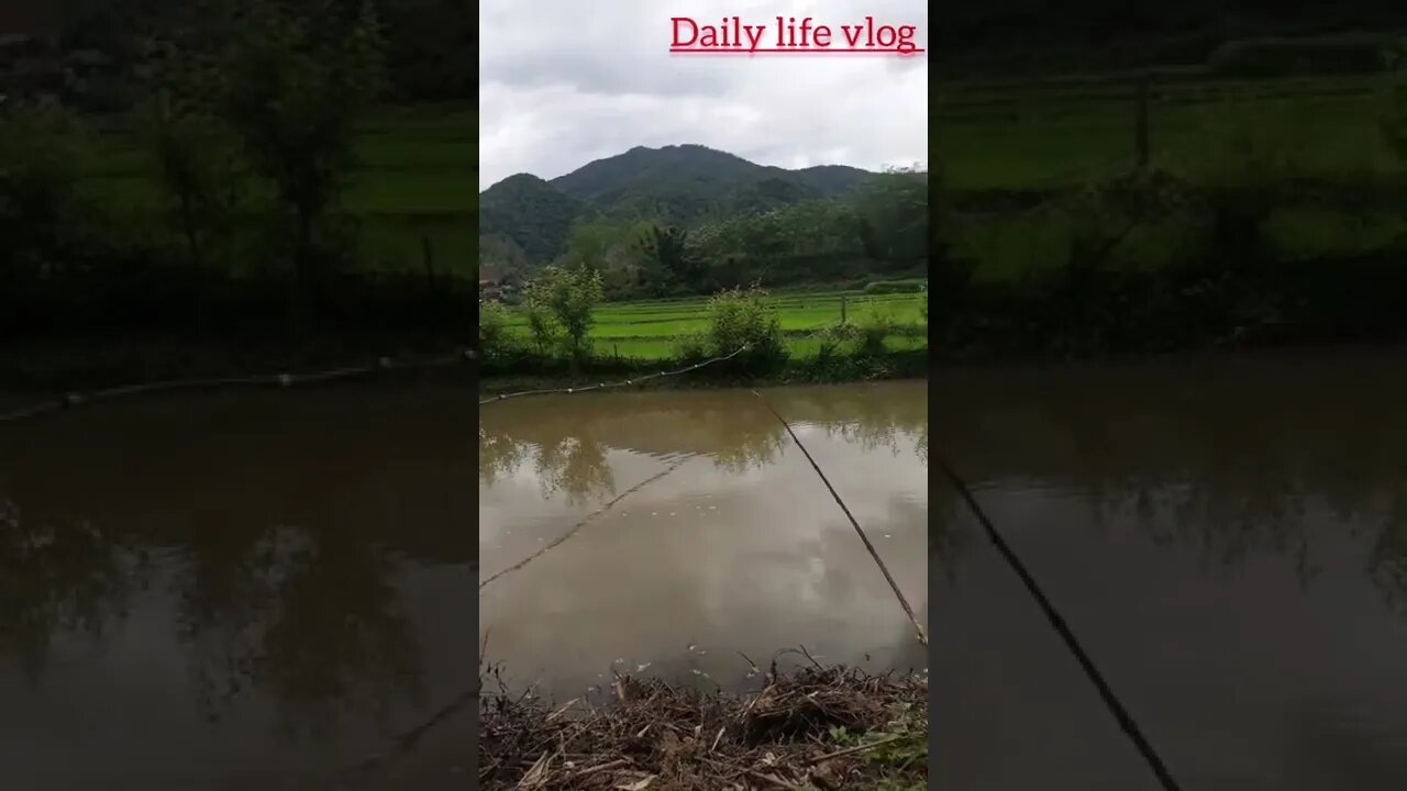stream fishing