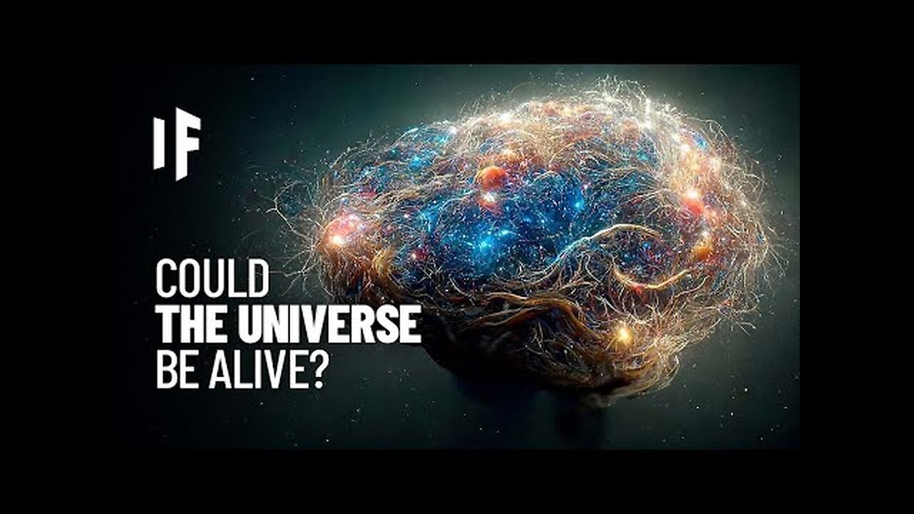 What If the Universe Is Conscious?