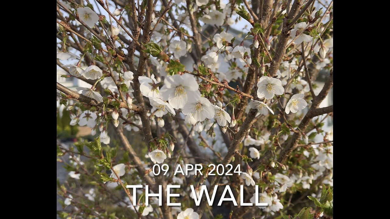 The Wall