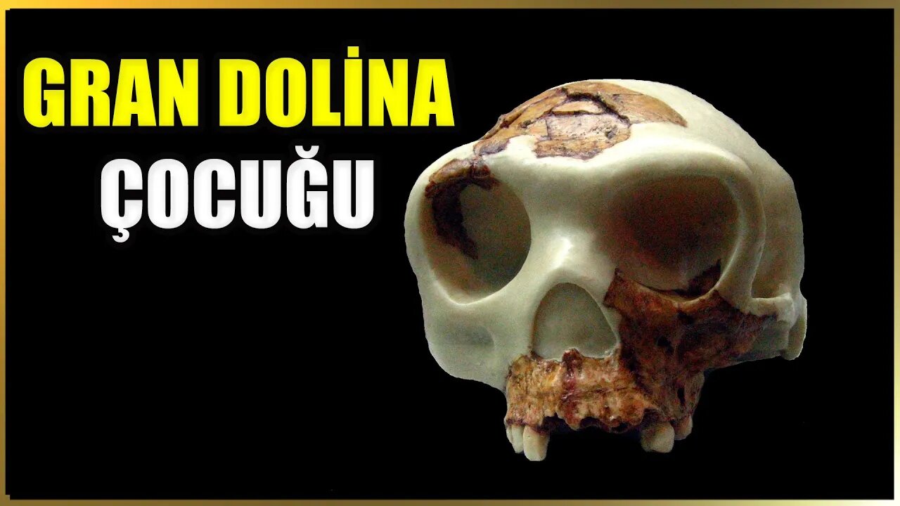 Homo antecessor | Gran Dolina Çoocuğu