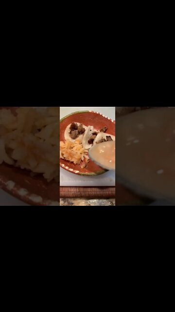 1Min Animal World #dogs #cats #pet