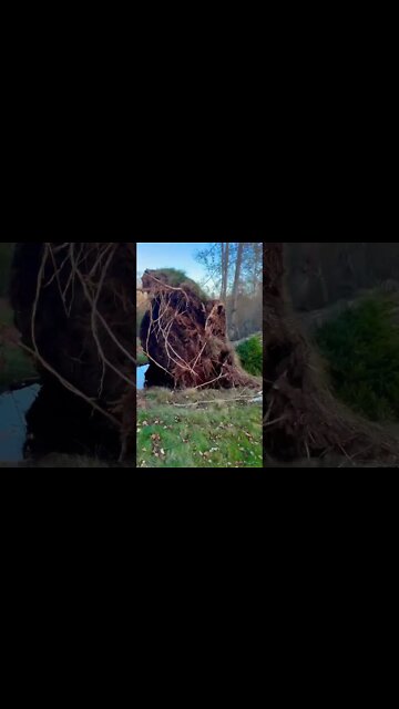 Hurricane Fiona Rocked Atlantic Canada