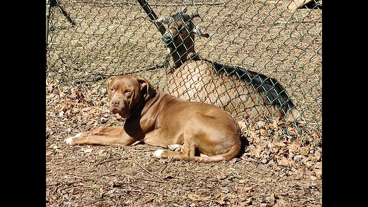 Let's talk about it.