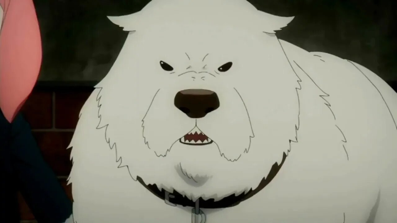 Spy x Family Part 2 Episode 14 Preview