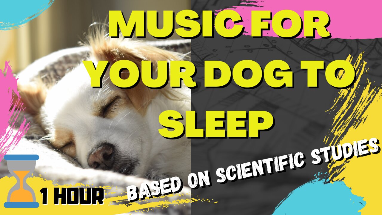 Music for DOGS TO SLEEP! Scientifically proven.🐾🐶♪ ♫ ♬ ♭ 🎼