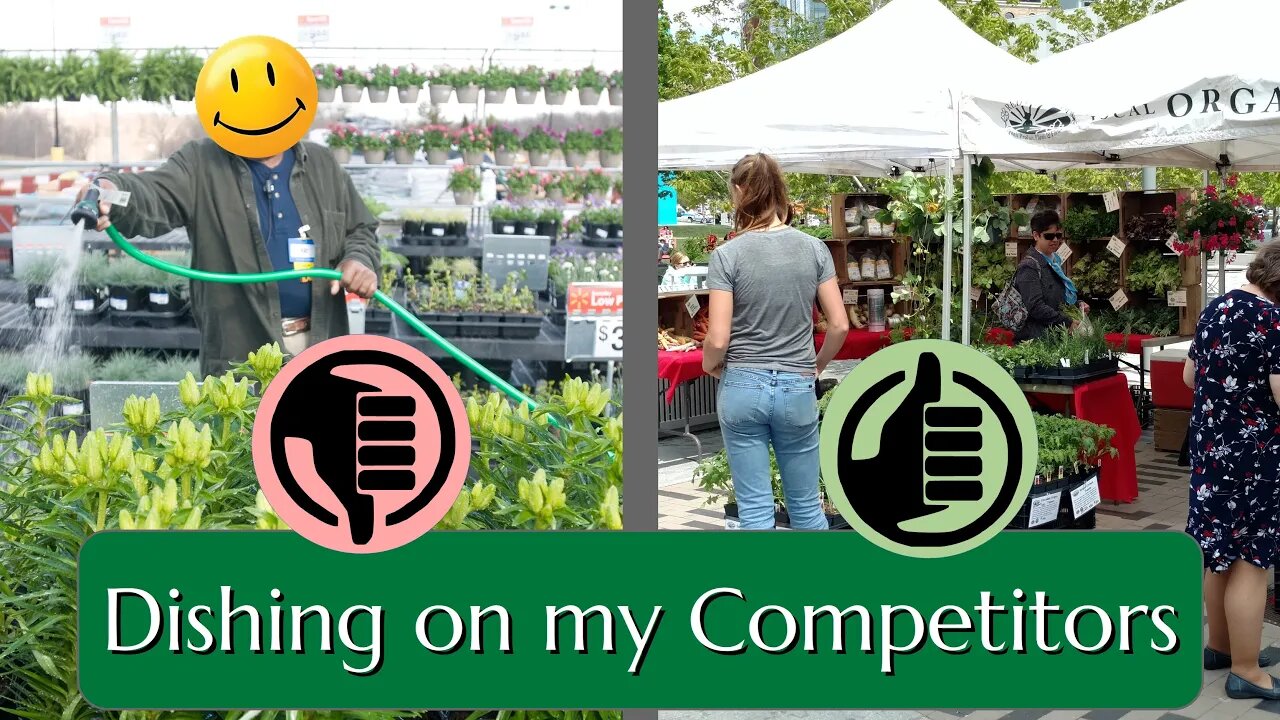 Dishing on my Competitors: Other YouTubers and Plant Sellers