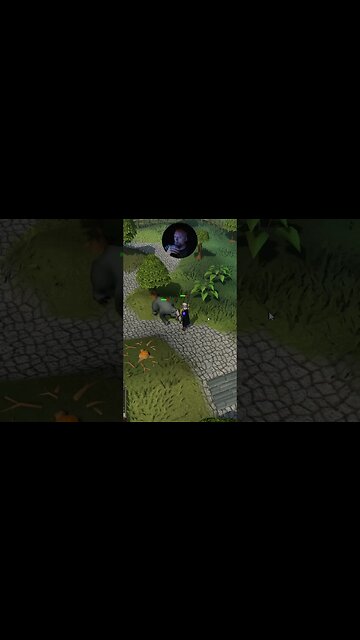Did Not Go As Planed #oldschoolrunescape #gameplay #osrs #shorts