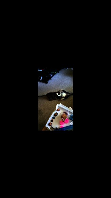 Tobias vs Remo : The Quickening part Deux