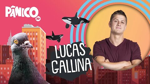 LUCAS GALLINA - PÂNICO - 02/03/21